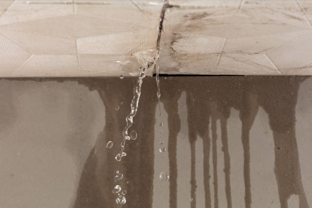 Professional Structural Drying technician working in Franklin, NC
